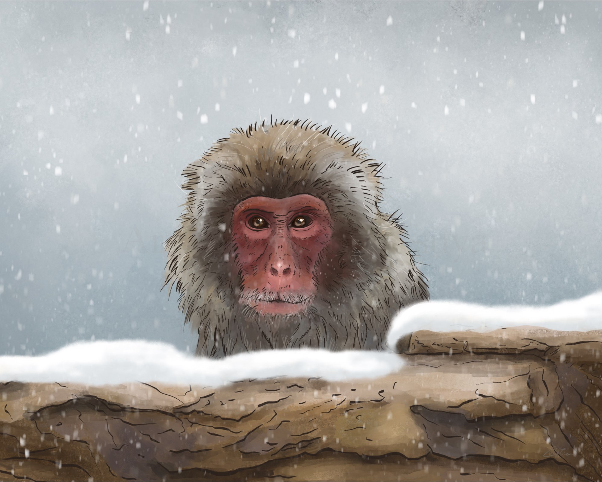 Fearless macaque by Lily Tsuya